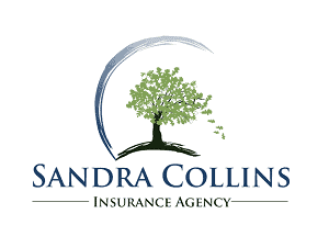 insurance logo design